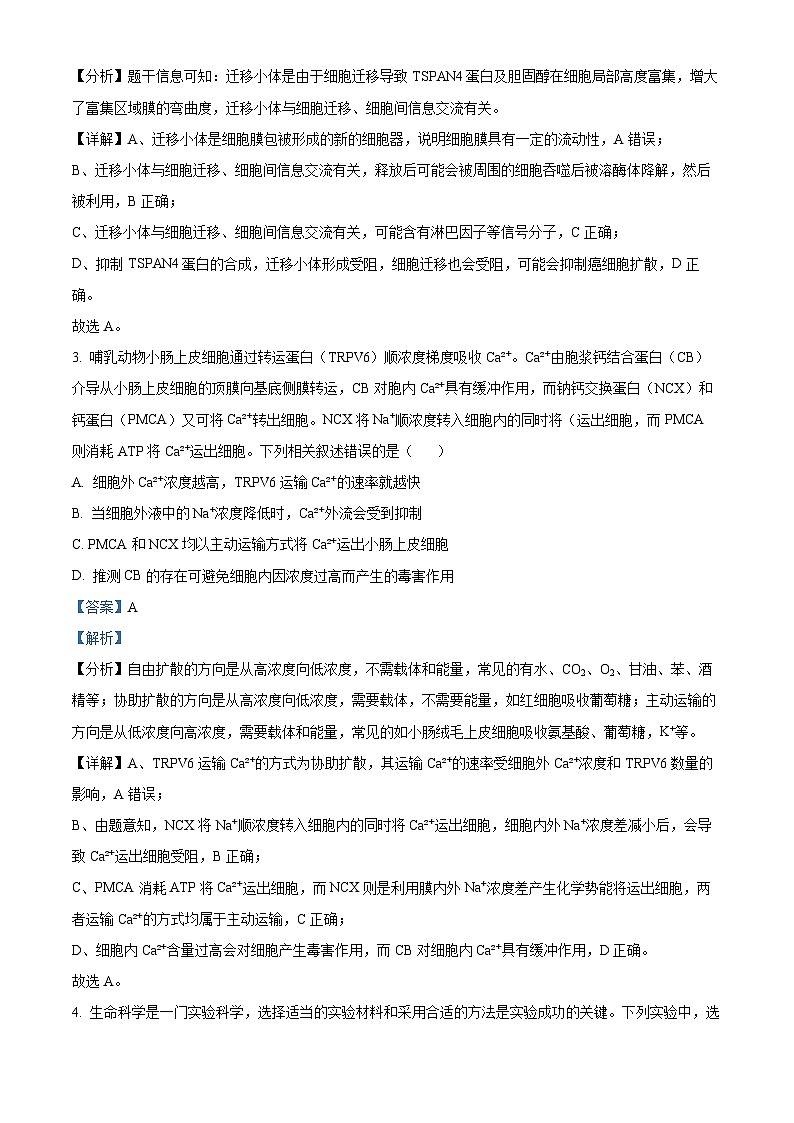 福州三中2024-2025学年第一学期高三第二次质量检测 生物答案第2页