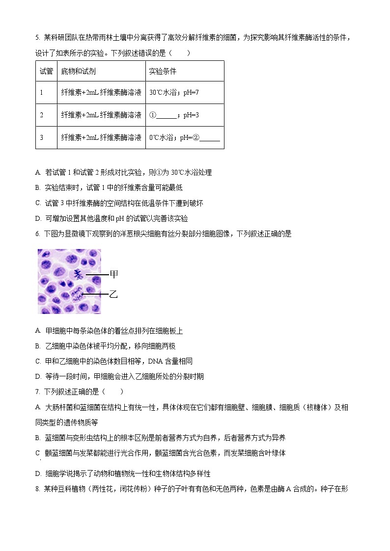 福州三中2024-2025学年第一学期高三第二次质量检测 生物第2页