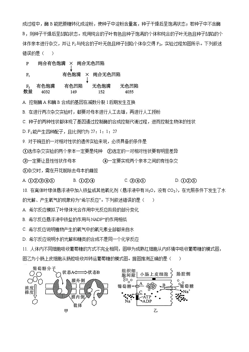 福州三中2024-2025学年第一学期高三第二次质量检测 生物第3页
