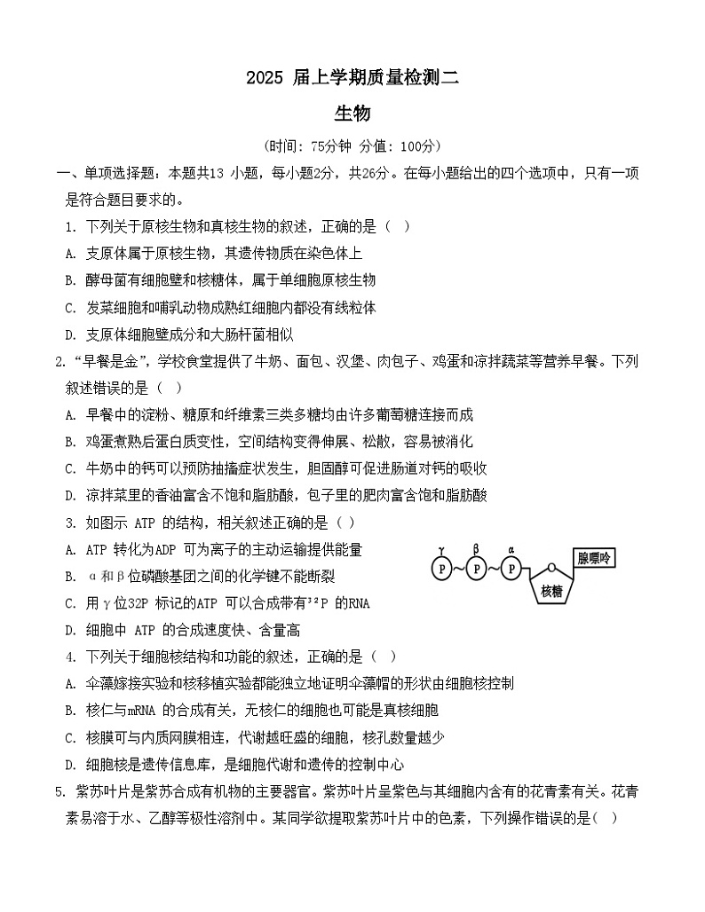 河北省部分学校2024-2025学年高三上学期第二次质检生物试题（Word版附解析）第1页