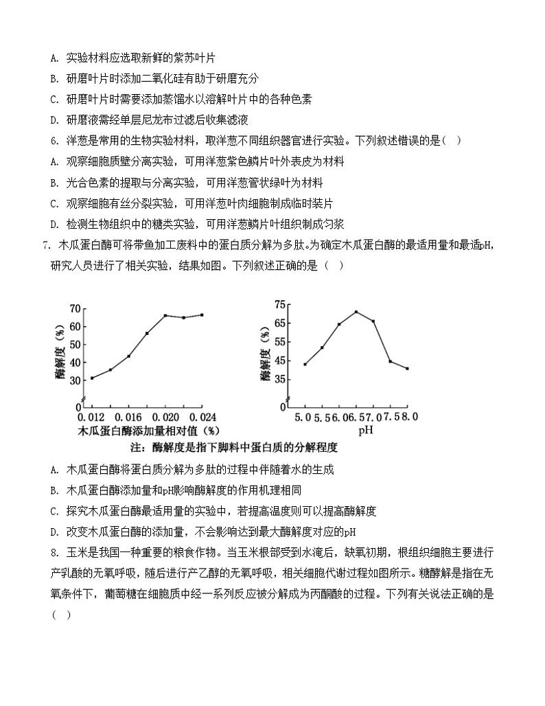 河北省部分学校2024-2025学年高三上学期第二次质检生物试题（Word版附解析）第2页