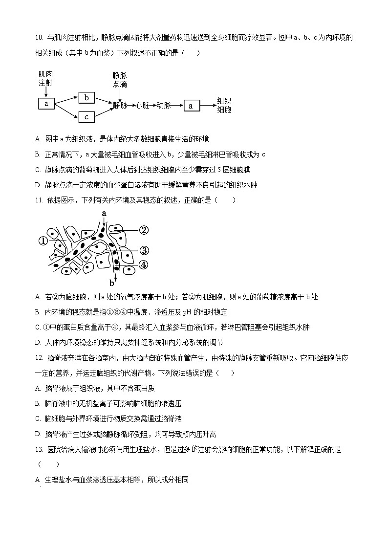 四川省成都市列五中学2024-2025学年高二上学期10月测试生物试题 Word版无答案第3页