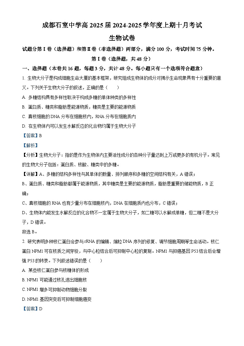 四川省成都石室中学2024-2025学年高三上学期10月月考生物试题 Word版含解析第1页