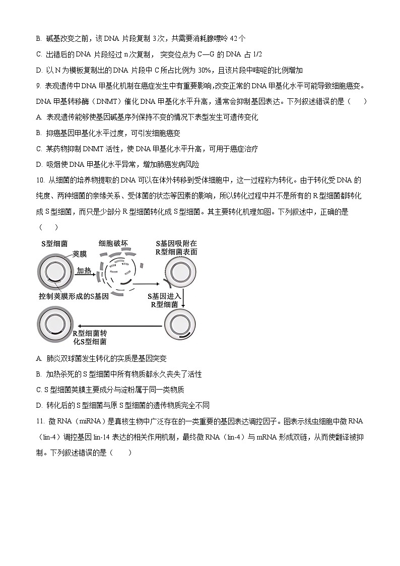 四川省成都市金牛区成都外国语学校2024-2025学年高三上学期10月月考生物试题 Word版无答案第3页