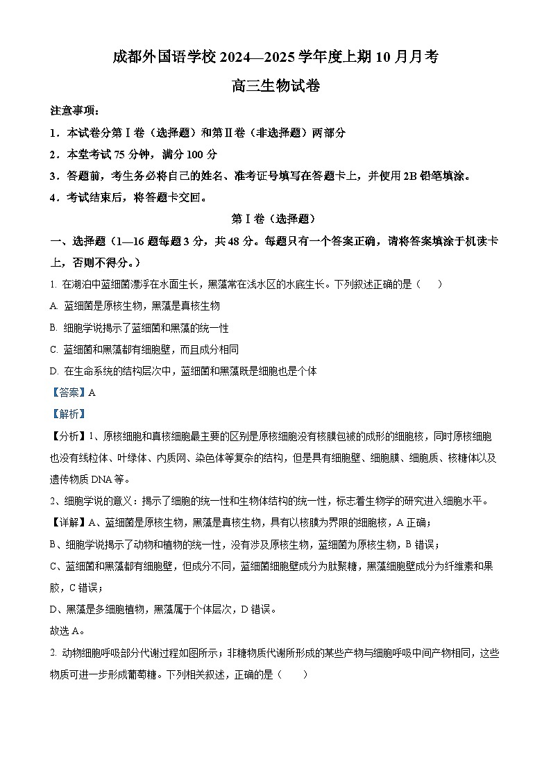 四川省成都市金牛区成都外国语学校2024-2025学年高三上学期10月月考生物试题 Word版含解析第1页