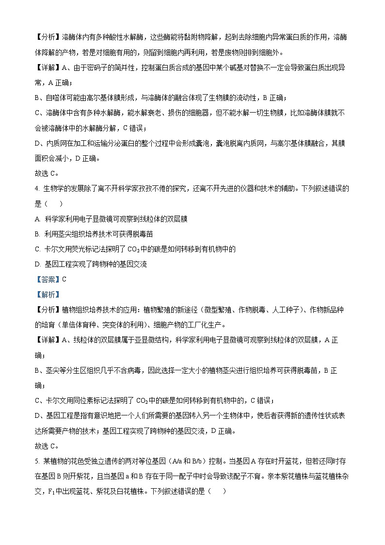 四川省成都市金牛区成都外国语学校2024-2025学年高三上学期10月月考生物试题 Word版含解析第3页