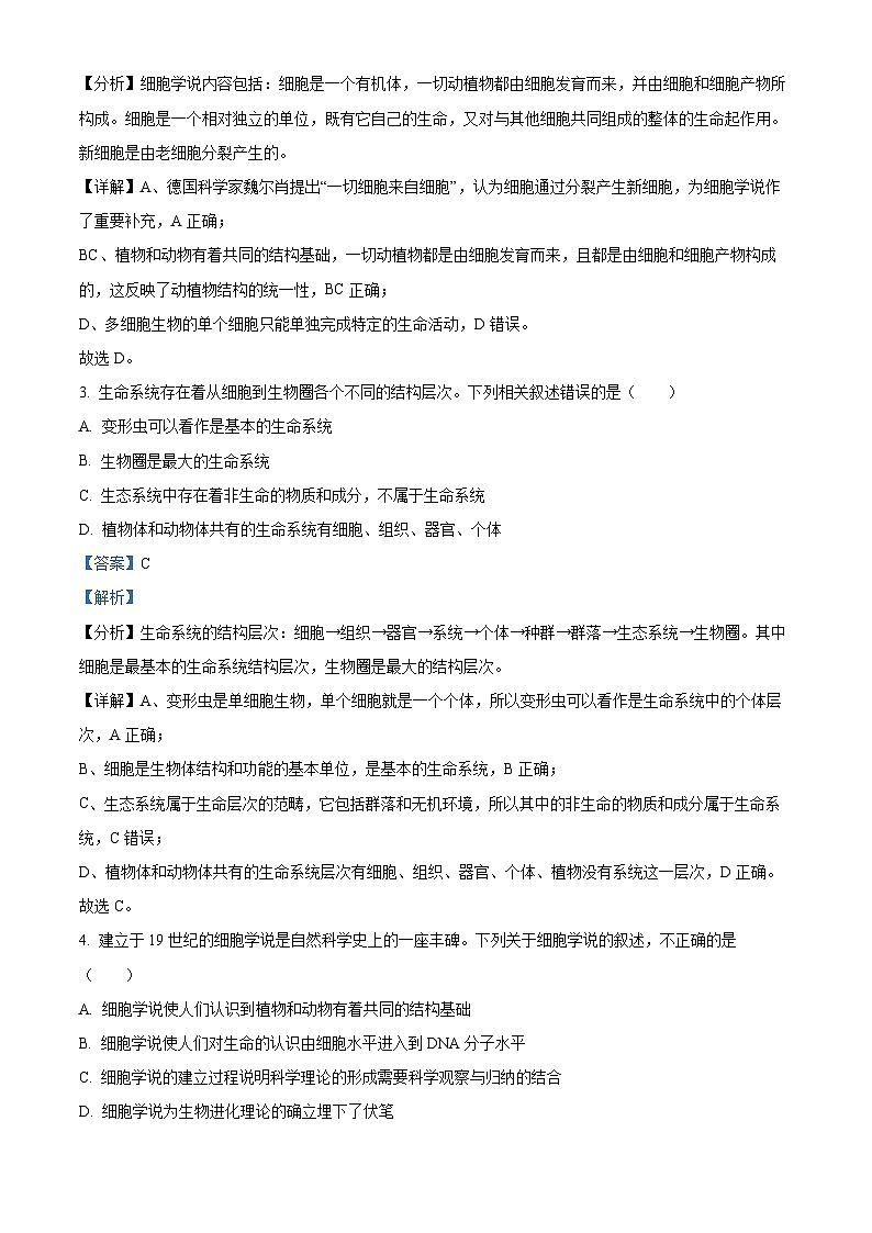 四川省成都市新津中学2024-2025学年高一上学期10月月考生物试题 Word版含解析第2页