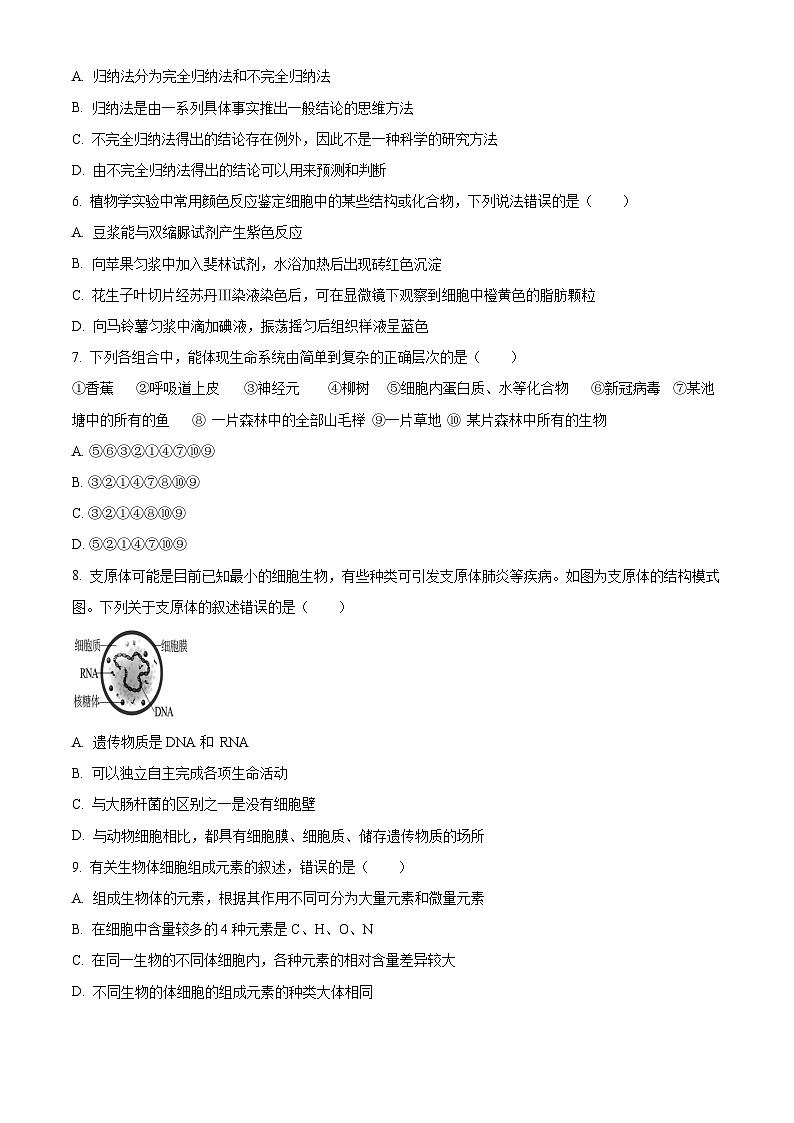 四川省成都市新津中学2024-2025学年高一上学期10月月考生物试题 Word版无答案第2页