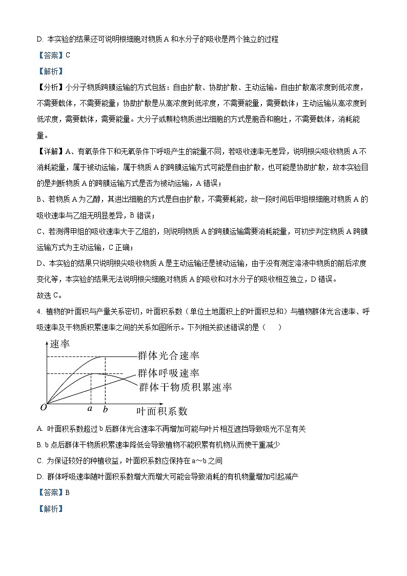 四川省内江市第六中学2024-2025学年高三上学期第二次月考生物试题 Word版含解析第3页