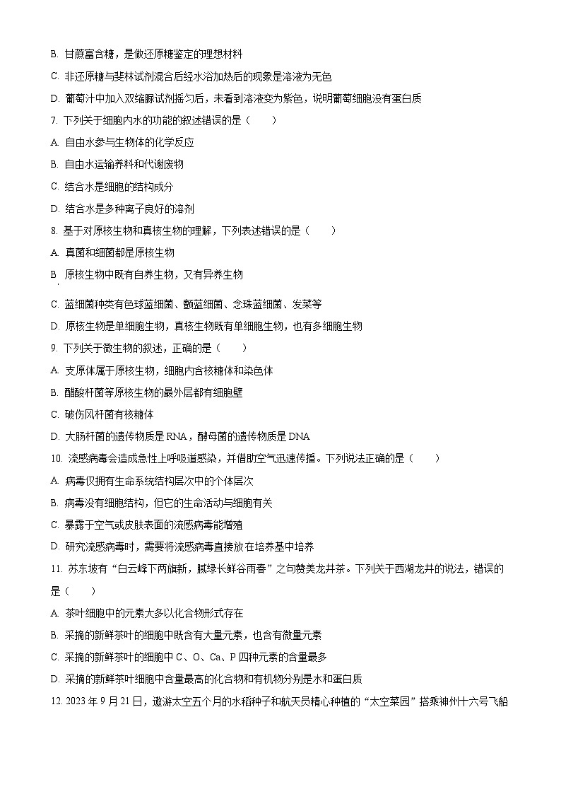 四川省宜宾市第一中学2024-2025学年高一上学期10月月考生物试题（Word版附解析）02