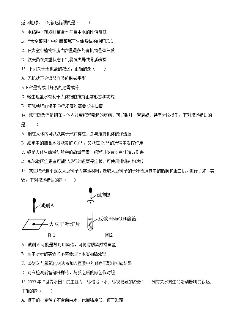 四川省宜宾市第一中学2024-2025学年高一上学期10月月考生物试题（Word版附解析）03