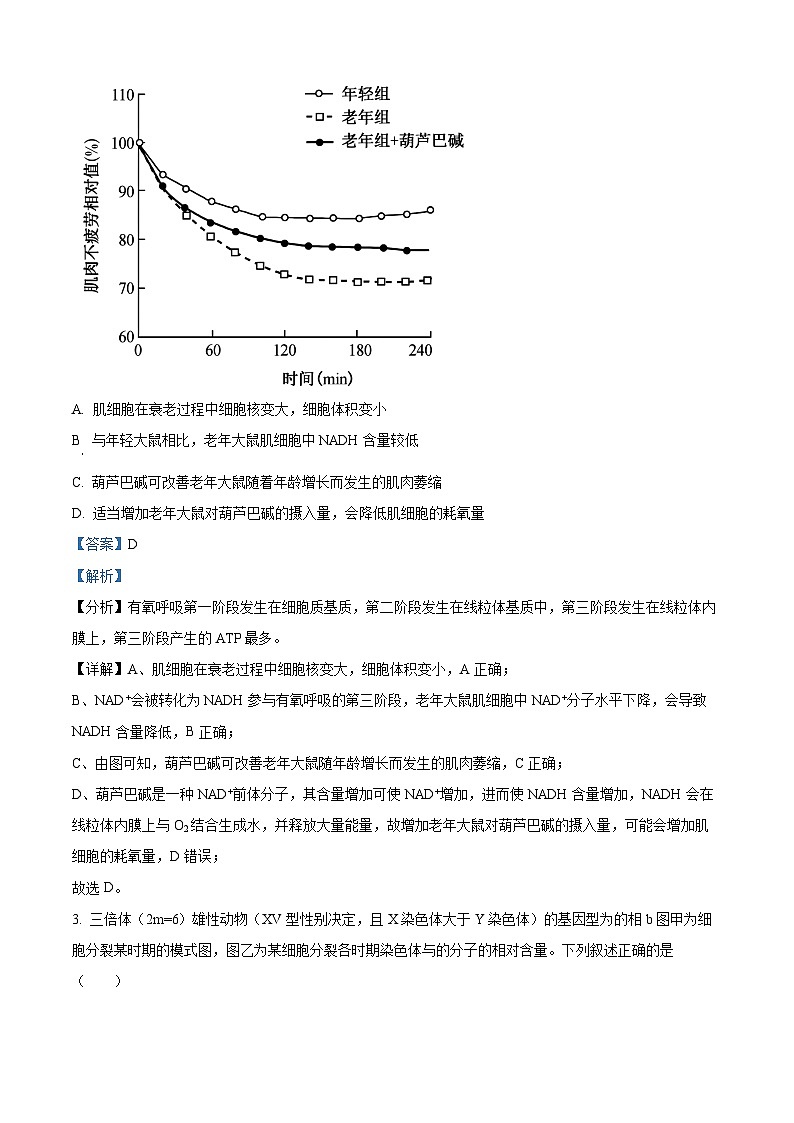 重庆市第八中学2024-2025学年高二上学期第一次月考生物试题（Word版附解析）02