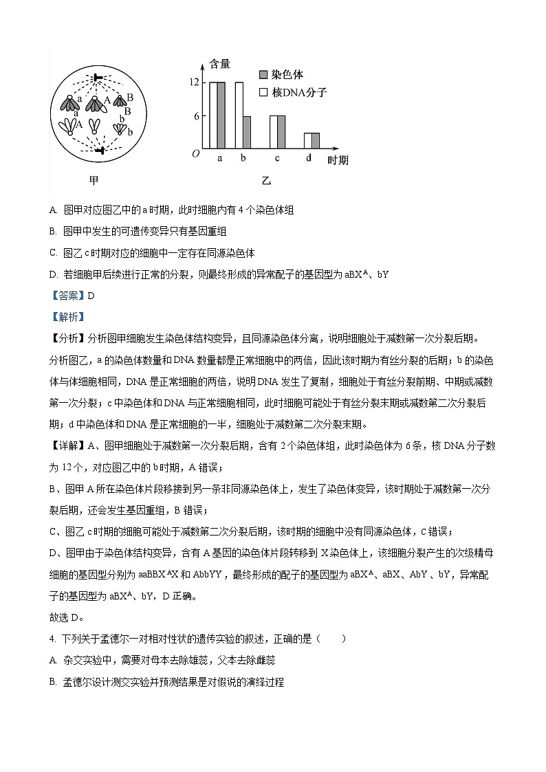 重庆市第八中学2024-2025学年高二上学期第一次月考生物试题（Word版附解析）03