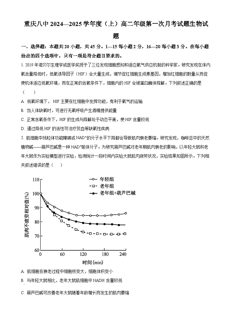 重庆市第八中学2024-2025学年高二上学期第一次月考生物试题（Word版附解析）01