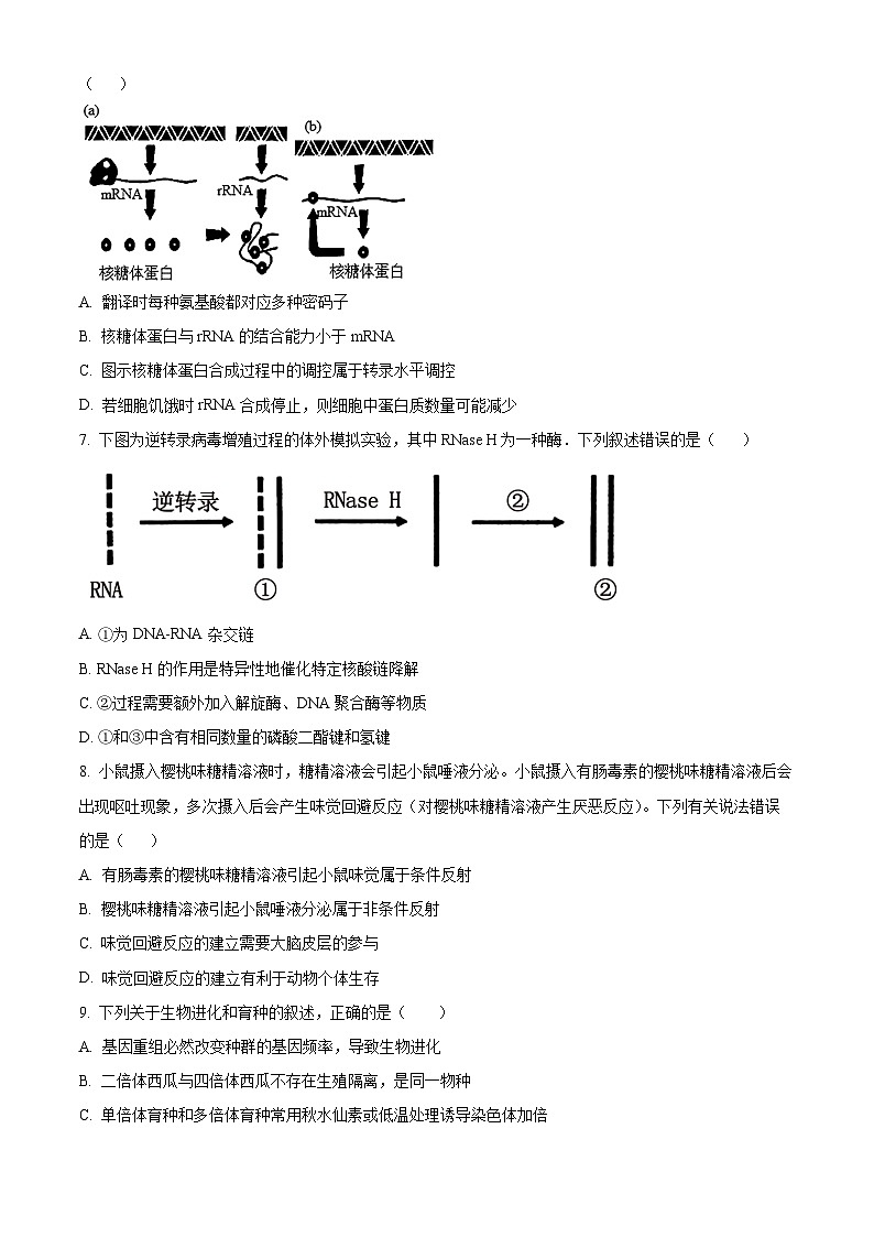 重庆市第八中学2024-2025学年高二上学期第一次月考生物试题（Word版附解析）03