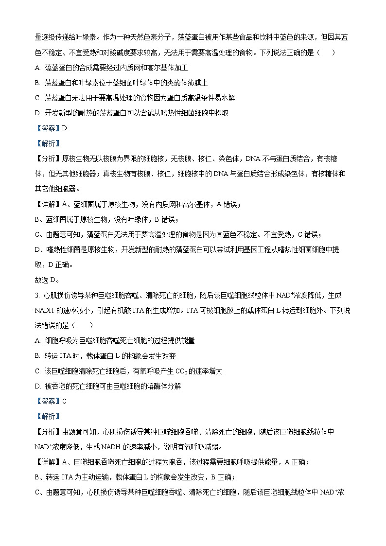 重庆市第四十九中学2024-2025学年高三上学期第一次月考生物试题（Word版附解析）02