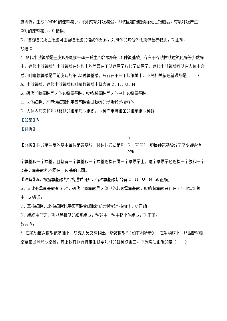 重庆市第四十九中学2024-2025学年高三上学期第一次月考生物试题（Word版附解析）03