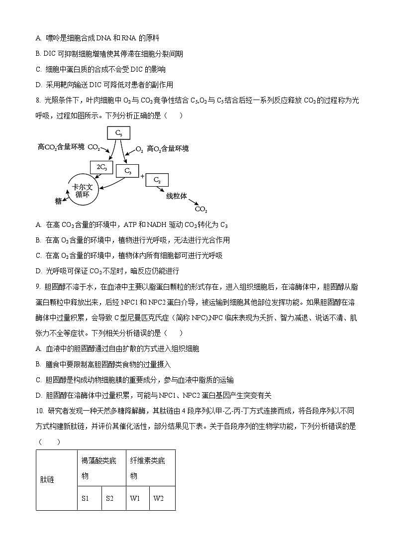 重庆市第四十九中学2024-2025学年高三上学期第一次月考生物试题（Word版附解析）03