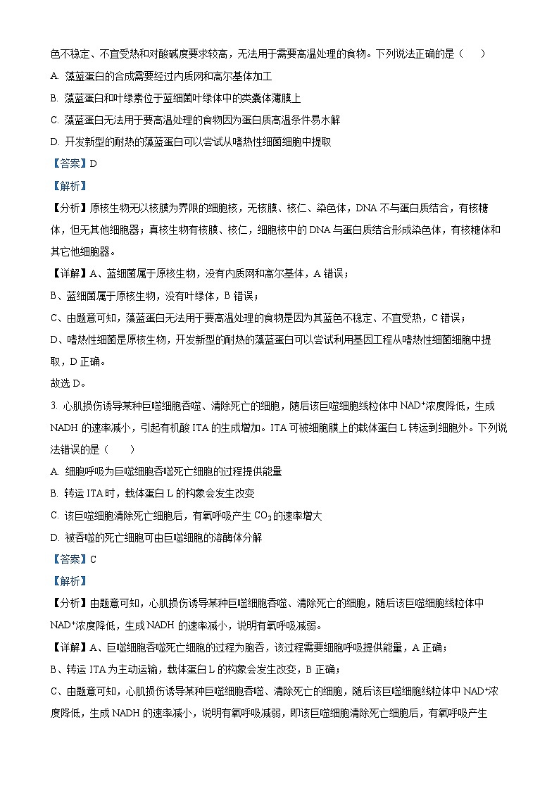 重庆市第四十九中学2024-2025学年高三上学期第一学月考试生物试题（Word版附解析）02