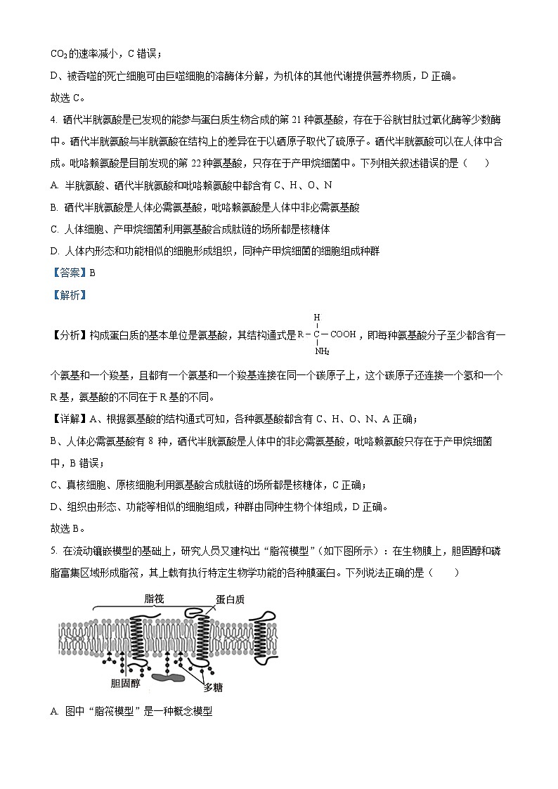 重庆市第四十九中学2024-2025学年高三上学期第一学月考试生物试题（Word版附解析）03