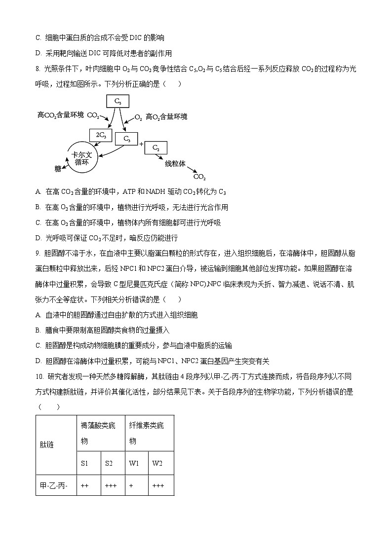 重庆市第四十九中学2024-2025学年高三上学期第一学月考试生物试题（Word版附解析）03