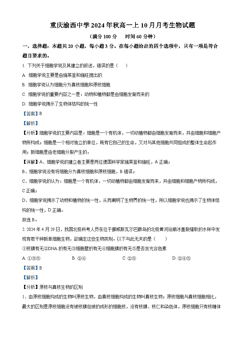 重庆市九龙坡区渝西中学2024-2025学年高一上学期10月月考生物试题（Word版附解析）01