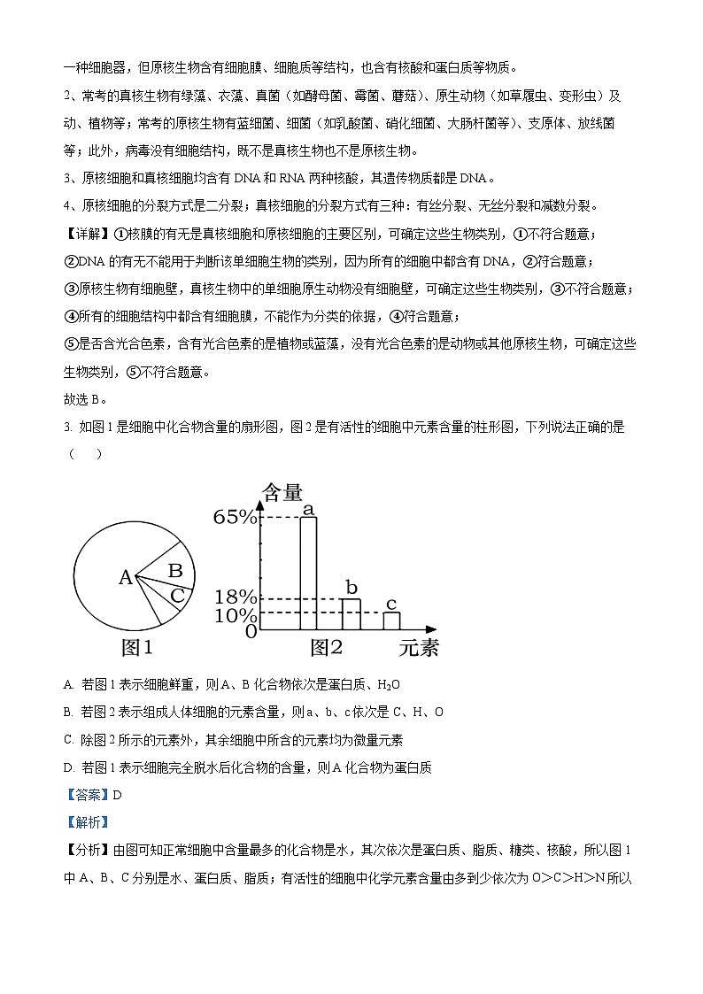 重庆市九龙坡区渝西中学2024-2025学年高一上学期10月月考生物试题（Word版附解析）02