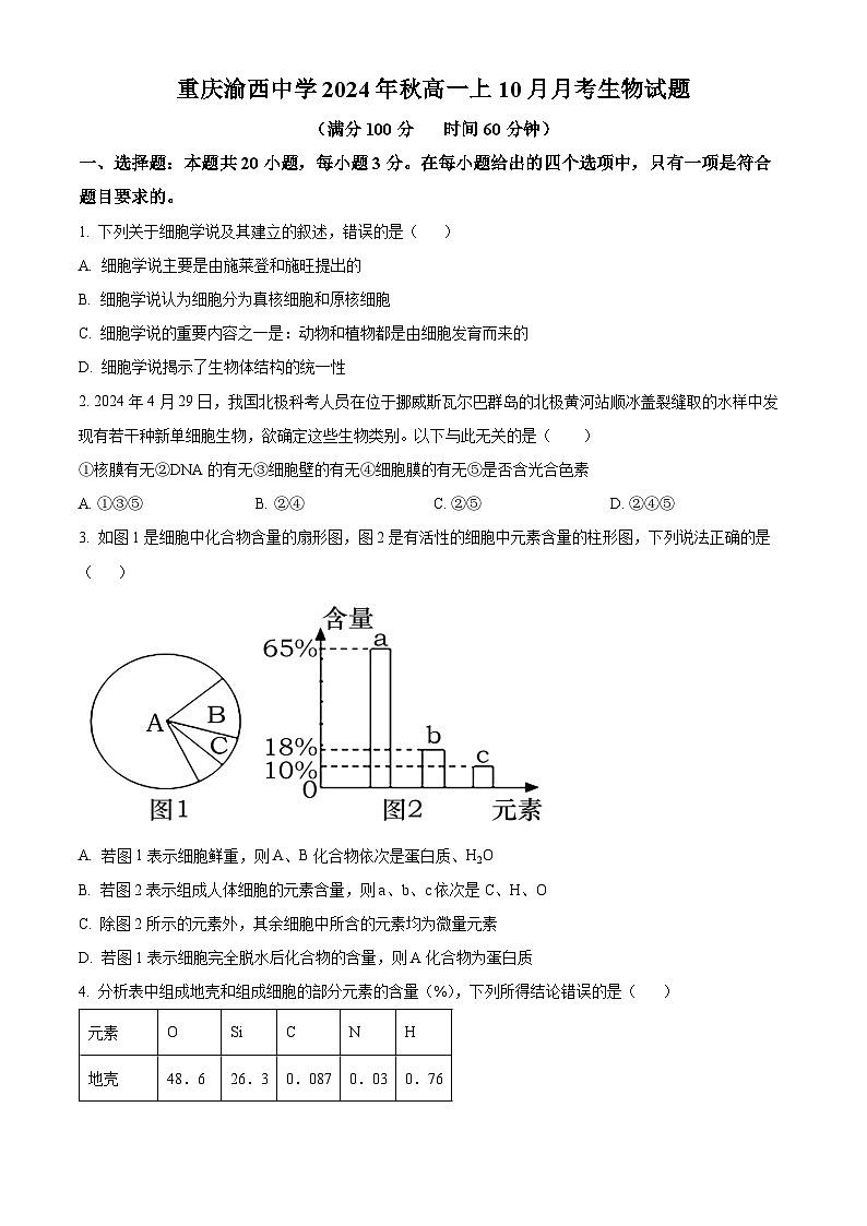重庆市九龙坡区渝西中学2024-2025学年高一上学期10月月考生物试题（Word版附解析）01