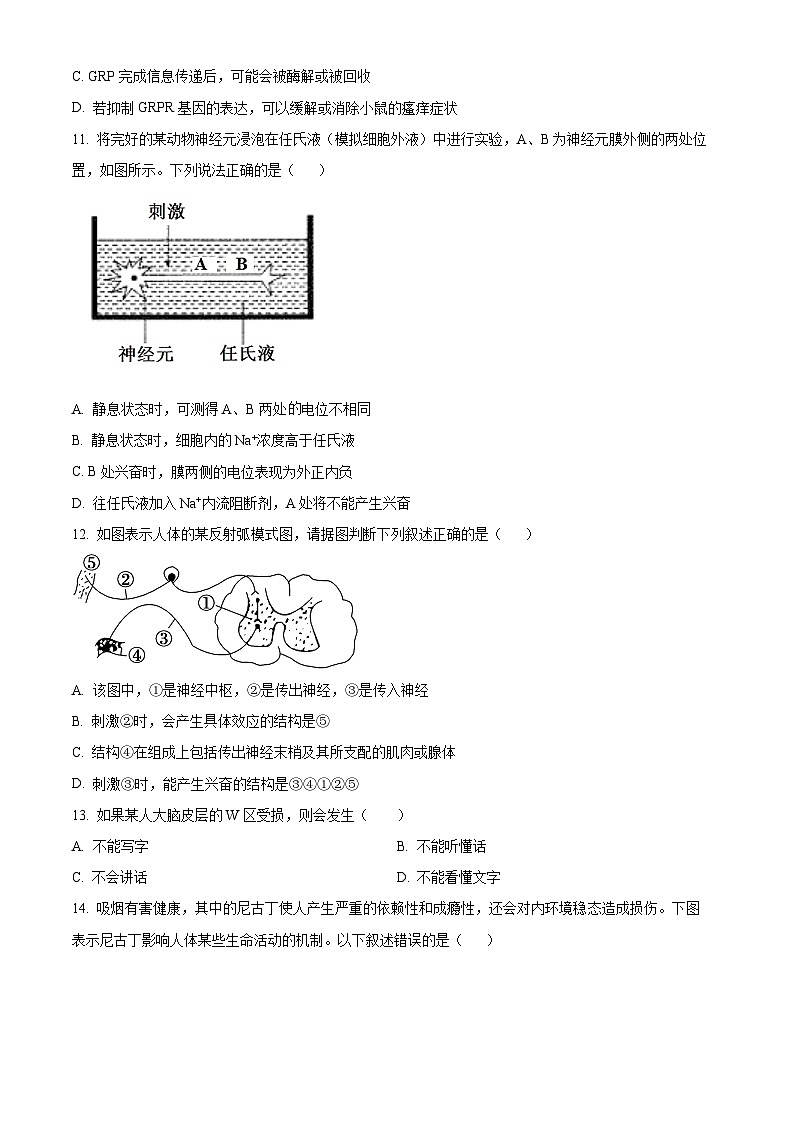 重庆市荣昌永荣中学校2024-2025学年高二上学期第一次月考生物试题 Word版无答案第3页