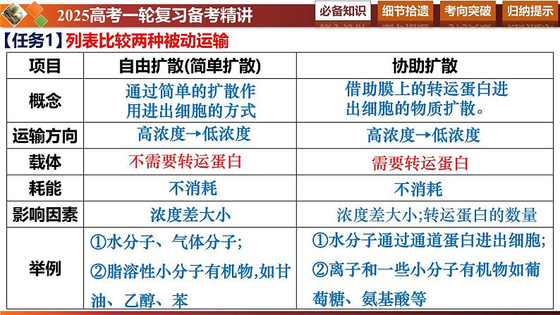 第09讲 物质出入细胞的方式及影响因素-备战2025年高考生物一轮复习情境教学精讲课件第8页