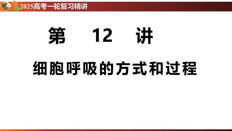 第12讲 细胞呼吸的方式和过程-备战2025年高考生物一轮复习情境教学精讲课件01