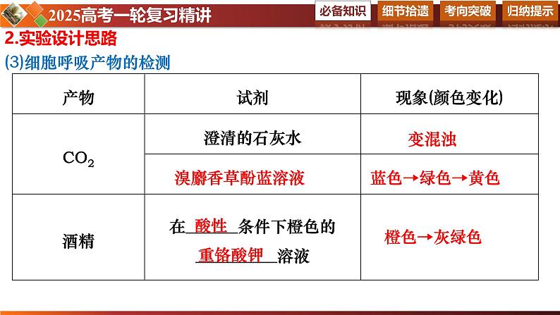 第12讲 细胞呼吸的方式和过程-备战2025年高考生物一轮复习情境教学精讲课件08