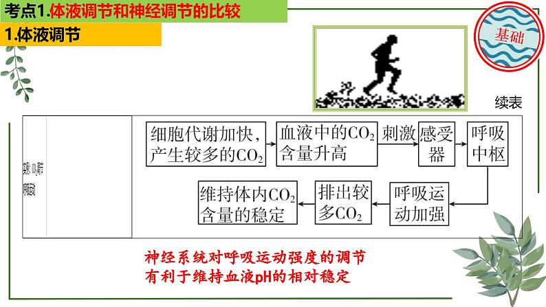 第52讲 神经调节和体液调节的关系-备战2025年高考生物一轮复习精讲课件（新教材新高考）第5页