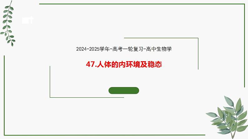 第47讲 人体的内环境及稳态-备战2025年高考生物一轮复习精讲课件（新教材新高考）第1页