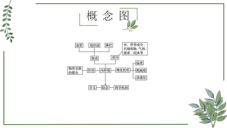 第47讲 人体的内环境及稳态-备战2025年高考生物一轮复习精讲课件（新教材新高考）第2页