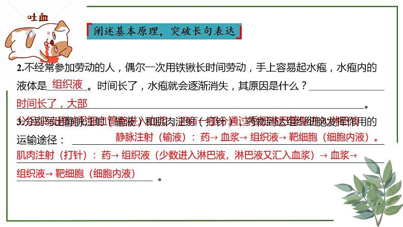 第47讲 人体的内环境及稳态-备战2025年高考生物一轮复习精讲课件（新教材新高考）第7页