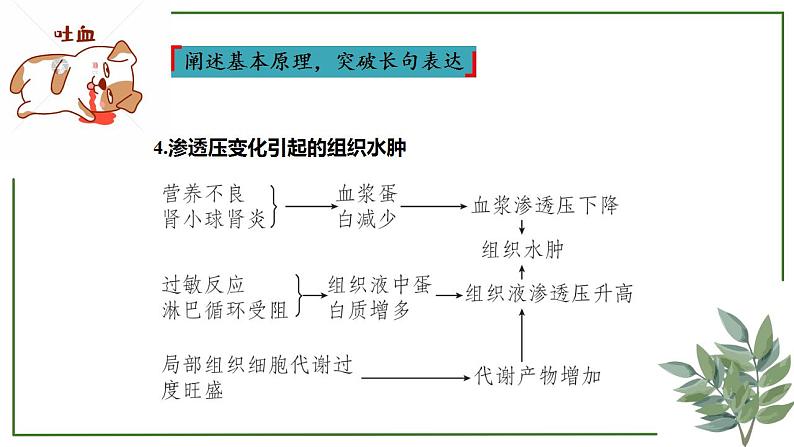 第47讲 人体的内环境及稳态-备战2025年高考生物一轮复习精讲课件（新教材新高考）第8页