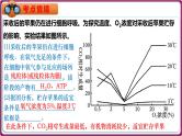 第13讲 细胞呼吸的影响因素及探究细胞呼吸方式的实验拓展-备战2025年高考生物一轮复习情境教学精讲课件