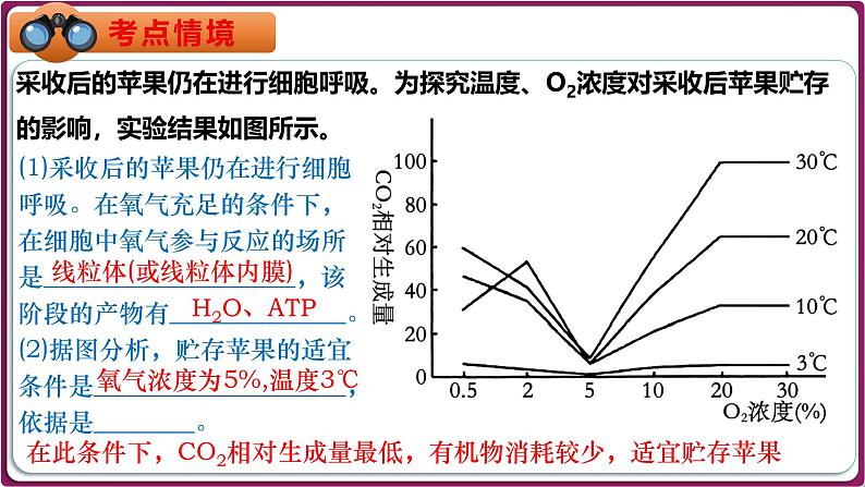 第13讲 细胞呼吸的影响因素及探究细胞呼吸方式的实验拓展-备战2025年高考生物一轮复习情境教学精讲课件第4页