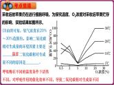 第13讲 细胞呼吸的影响因素及探究细胞呼吸方式的实验拓展-备战2025年高考生物一轮复习情境教学精讲课件