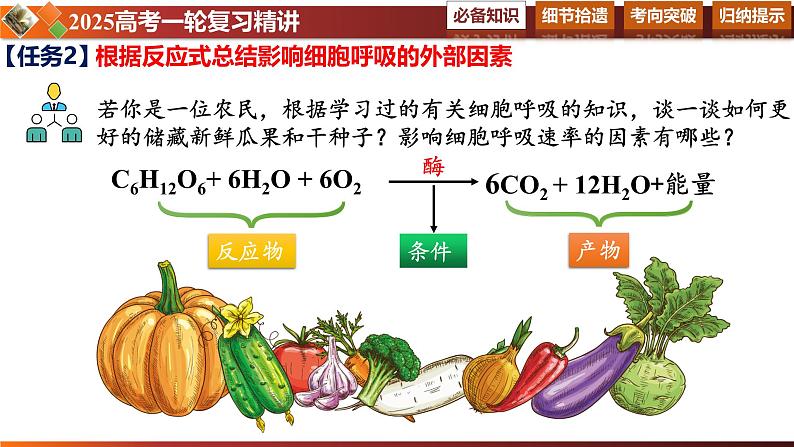 第13讲 细胞呼吸的影响因素及探究细胞呼吸方式的实验拓展-备战2025年高考生物一轮复习情境教学精讲课件第7页