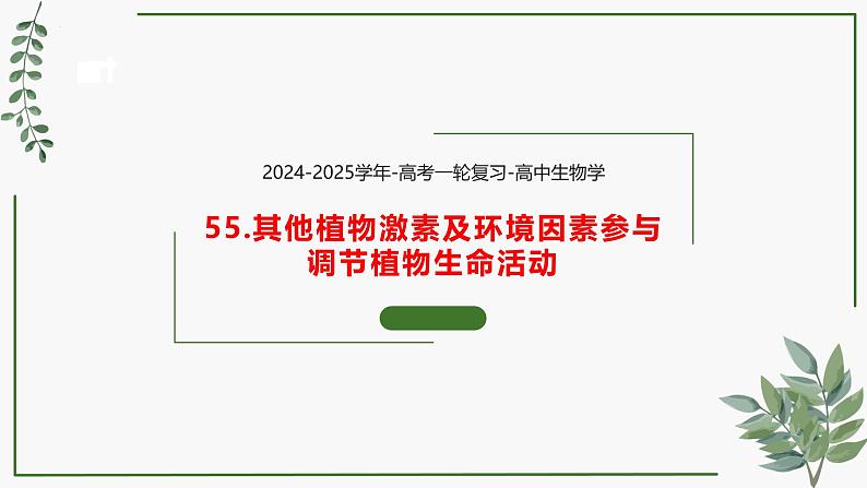 第56讲 其他植物激素及环境因素参与调节植物生命活动-备战2025年高考生物一轮复习精讲课件（新教材新高考）01