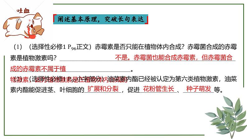 第56讲 其他植物激素及环境因素参与调节植物生命活动-备战2025年高考生物一轮复习精讲课件（新教材新高考）06