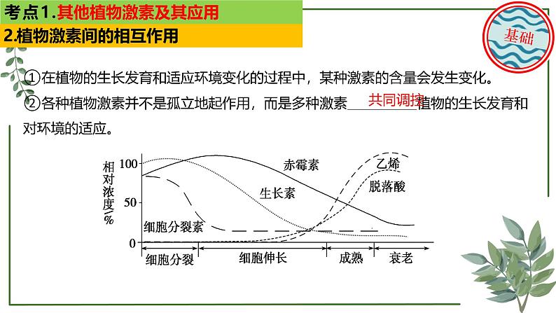 第56讲 其他植物激素及环境因素参与调节植物生命活动-备战2025年高考生物一轮复习精讲课件（新教材新高考）08