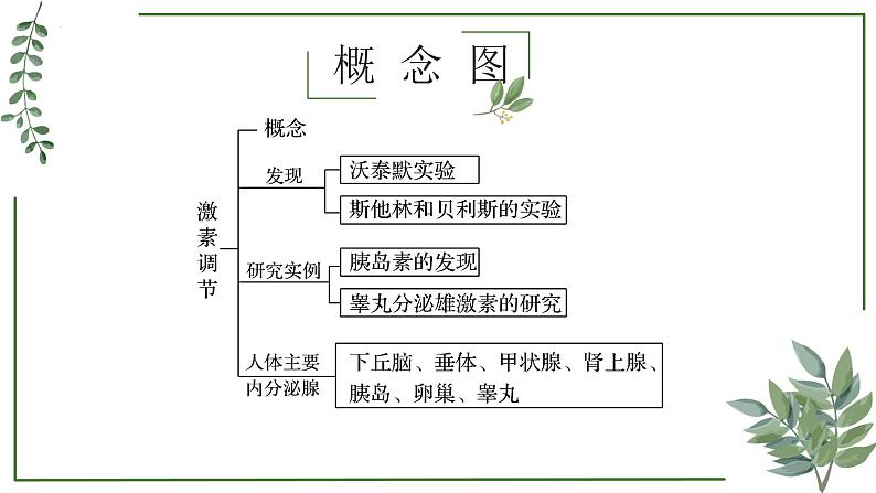 第51讲 激素调节的过程-备战2025年高考生物一轮复习精讲课件（新教材新高考）第2页