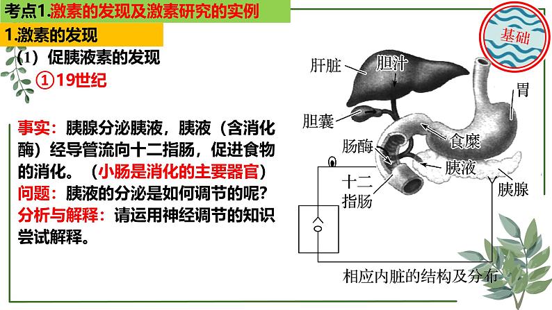 第51讲 激素调节的过程-备战2025年高考生物一轮复习精讲课件（新教材新高考）第4页