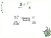 第48讲 神经调节的结构基础和基本方式-备战2025年高考生物一轮复习精讲课件（新教材新高考）