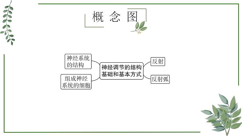 第48讲 神经调节的结构基础和基本方式-备战2025年高考生物一轮复习精讲课件（新教材新高考）第2页