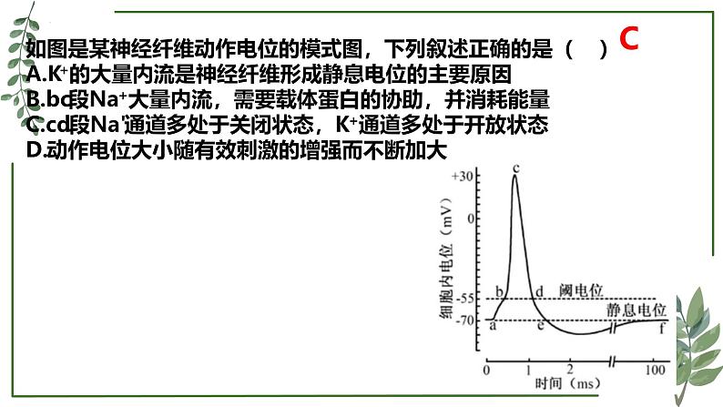 第50讲 神经调节的典型事例拓展-备战2025年高考生物一轮复习精讲课件（新教材新高考）第8页