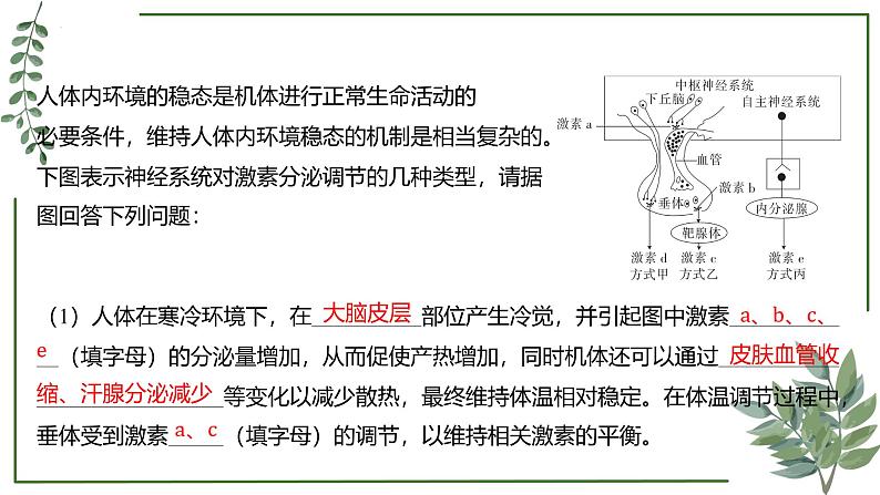 第53讲 动物生物活动调节模型-备战2025年高考一轮复习精讲课件（新教材新高考）第5页